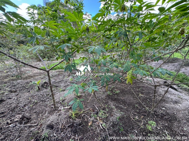 CHÁCARA PLANA COM LAGO GRANDE