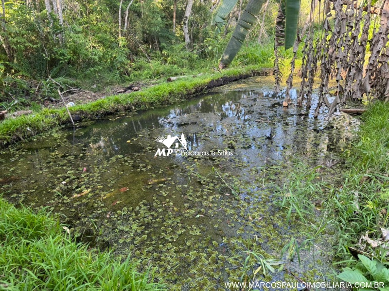 CHÁCARA PÉ NO ASFALTO EM BIRITIBA MIRIM