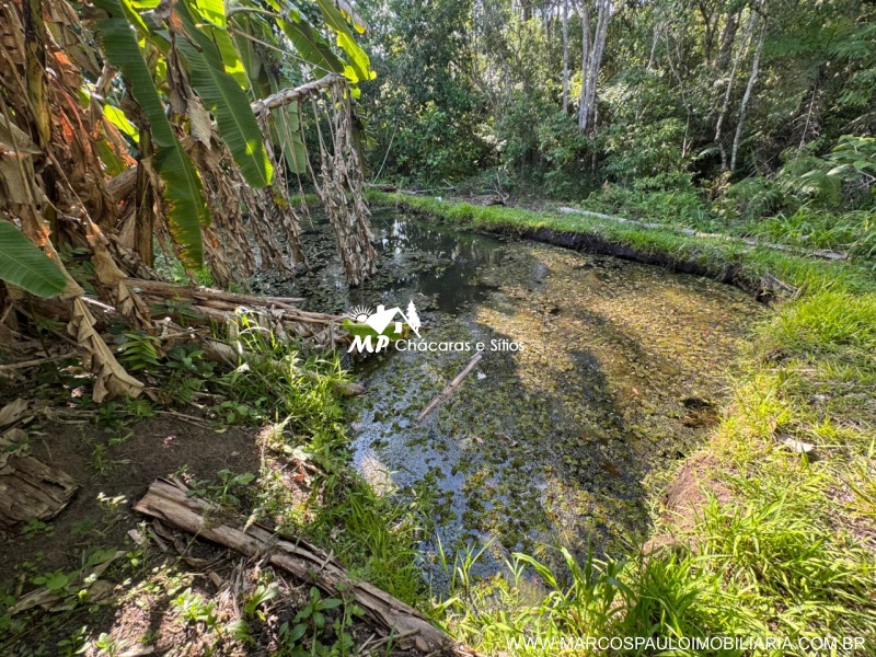 CHÁCARA PÉ NO ASFALTO EM BIRITIBA MIRIM