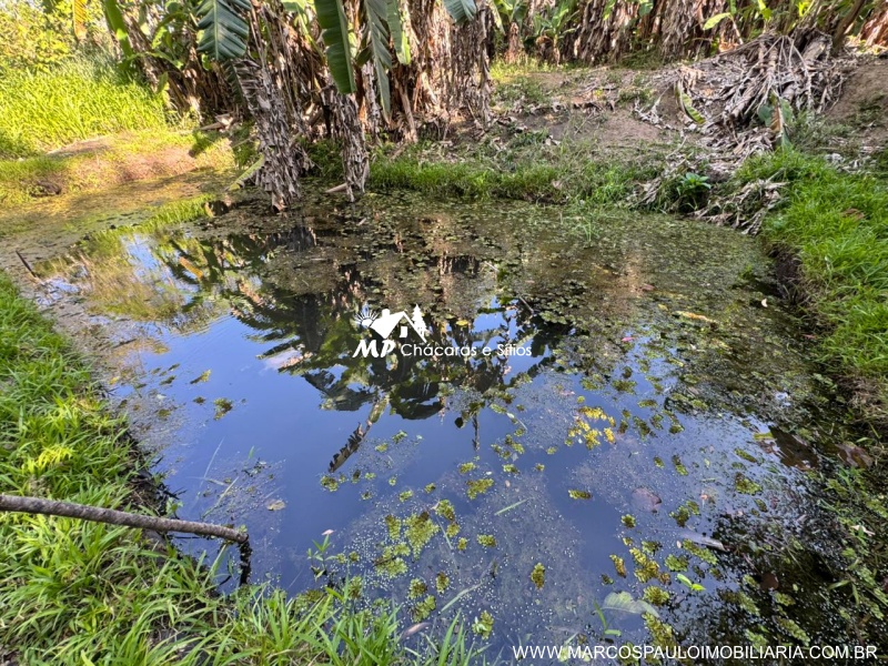 CHÁCARA PÉ NO ASFALTO EM BIRITIBA MIRIM