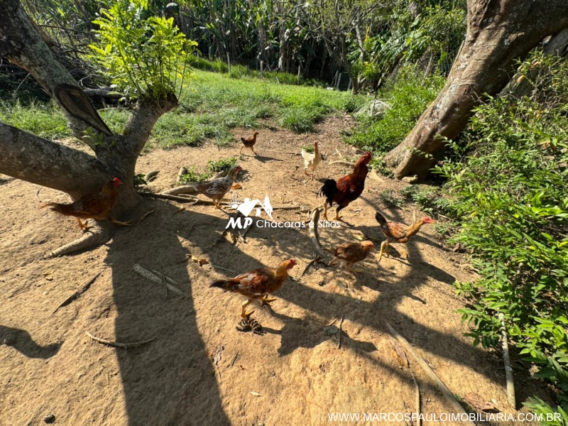 CHÁCARA PÉ NO ASFALTO EM BIRITIBA MIRIM