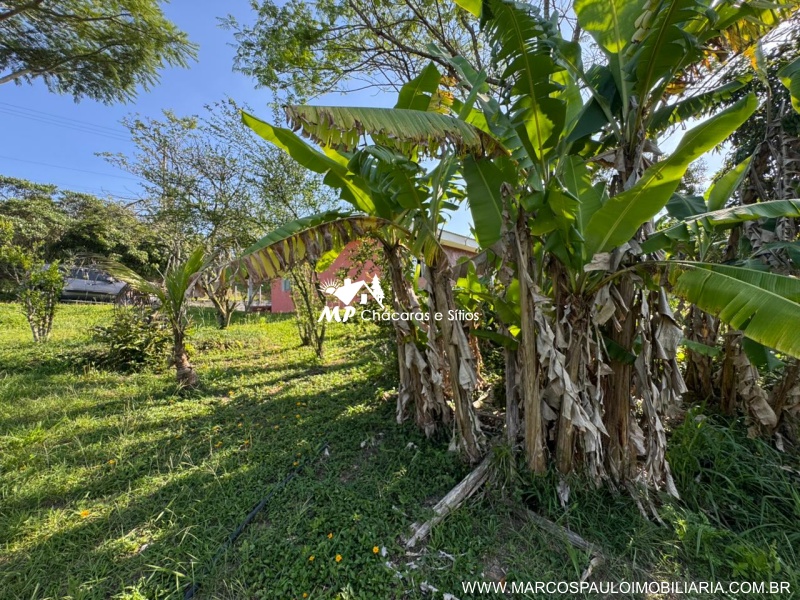 CHÁCARA PÉ NO ASFALTO EM BIRITIBA MIRIM