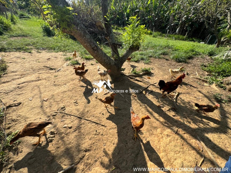 CHÁCARA PÉ NO ASFALTO EM BIRITIBA MIRIM