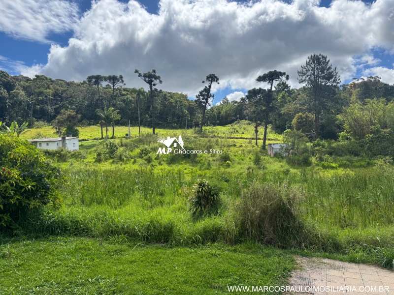 SÍTIO COM 6.2 ALQUEIRES EM MOGI DAS CRUZES