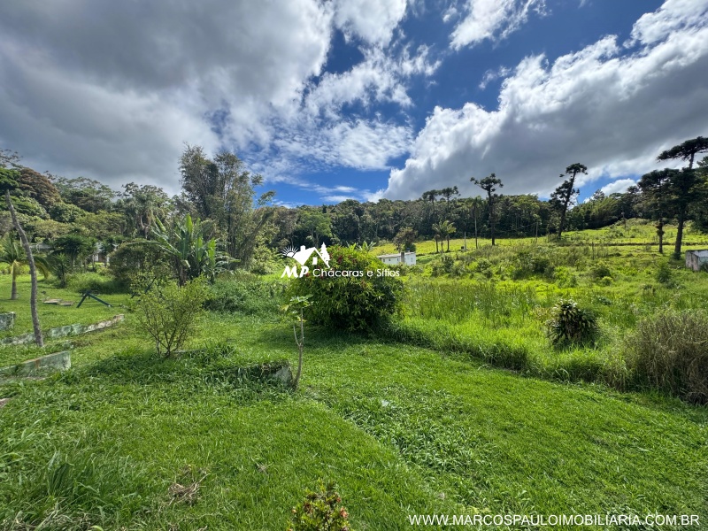 SÍTIO COM 6.2 ALQUEIRES EM MOGI DAS CRUZES