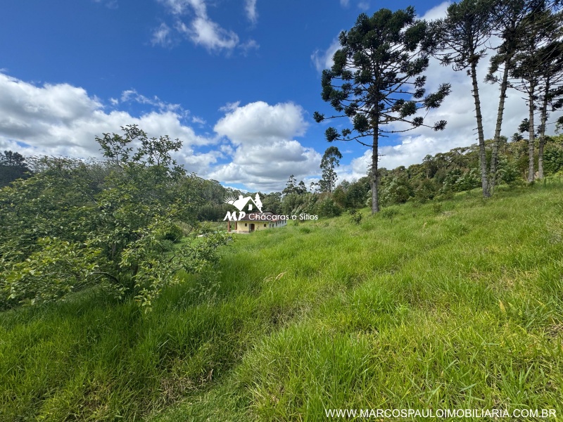SÍTIO COM 6.2 ALQUEIRES EM MOGI DAS CRUZES