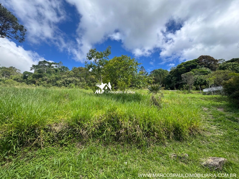 SÍTIO COM 6.2 ALQUEIRES EM MOGI DAS CRUZES