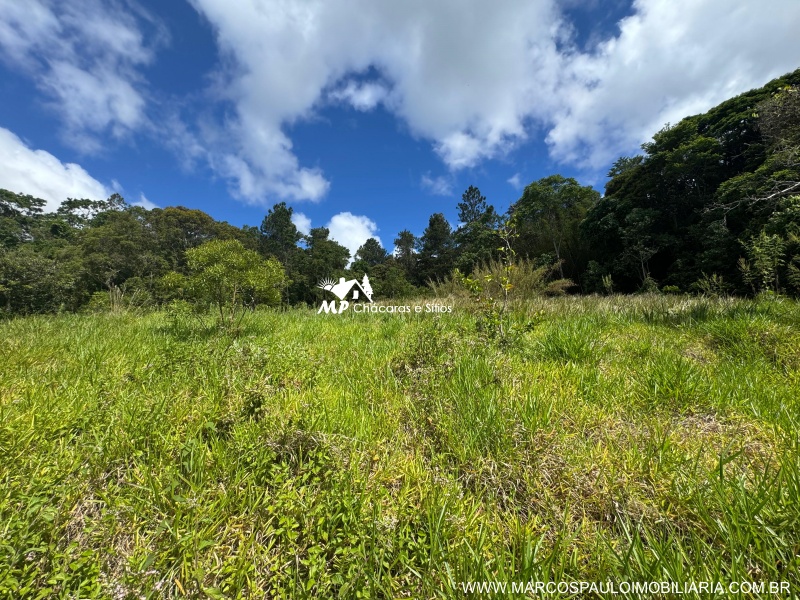 SÍTIO COM 6.2 ALQUEIRES EM MOGI DAS CRUZES