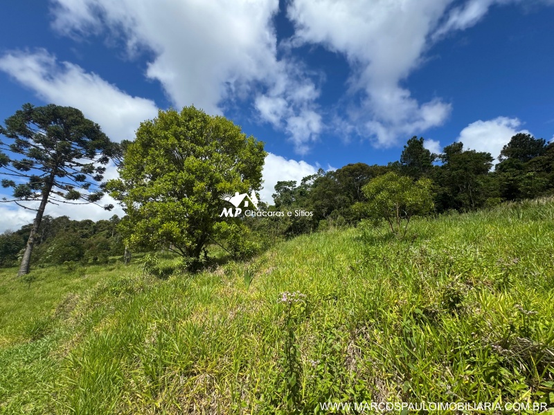 SÍTIO COM 6.2 ALQUEIRES EM MOGI DAS CRUZES