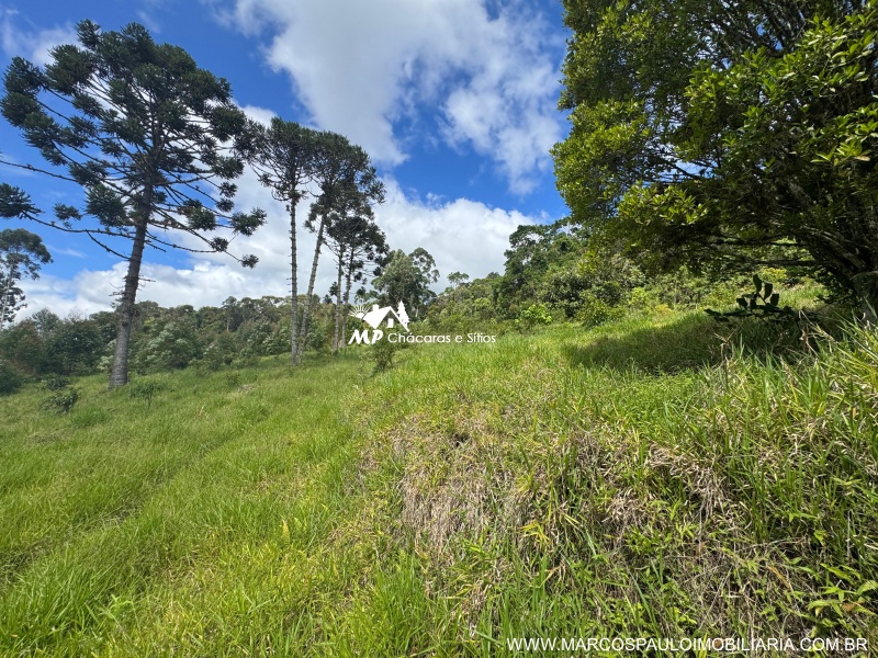 SÍTIO COM 6.2 ALQUEIRES EM MOGI DAS CRUZES