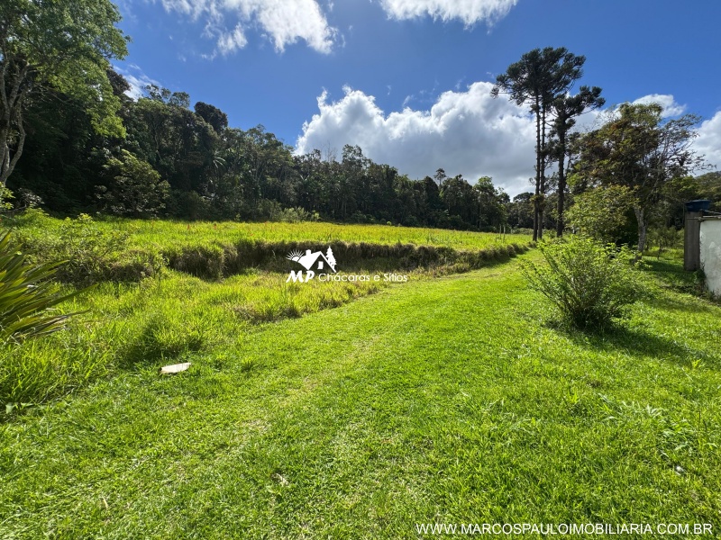 SÍTIO COM 6.2 ALQUEIRES EM MOGI DAS CRUZES