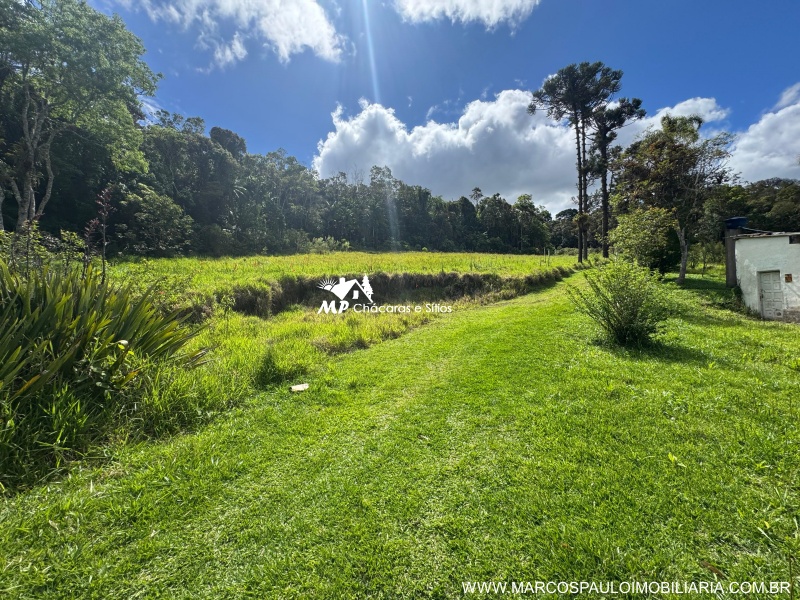 SÍTIO COM 6.2 ALQUEIRES EM MOGI DAS CRUZES