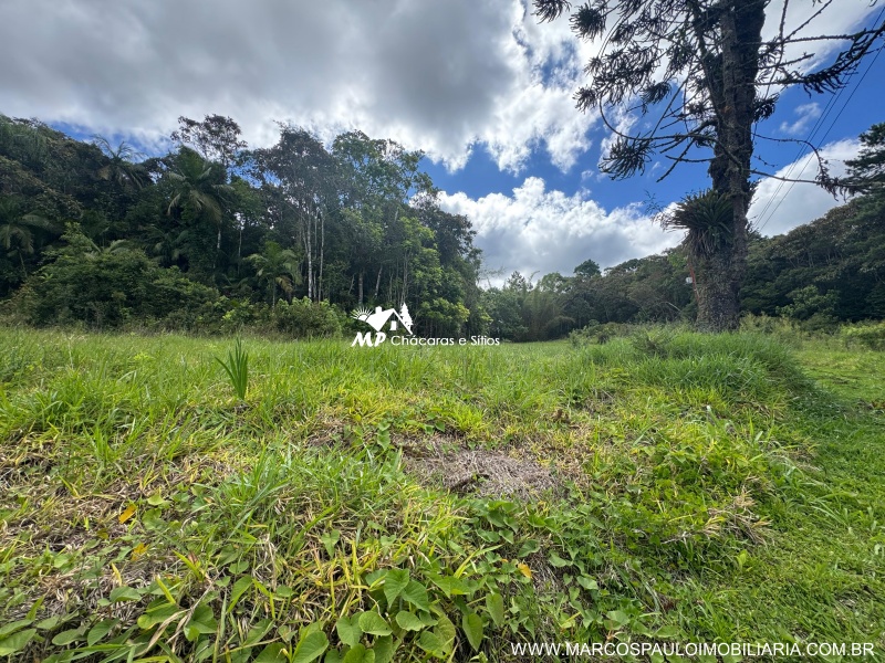 SÍTIO COM 6.2 ALQUEIRES EM MOGI DAS CRUZES