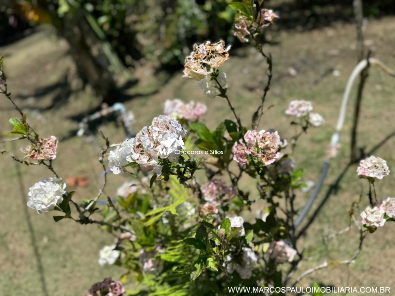 CHÁCARA PARA MORADIA EM BIRITIBA MIRIM