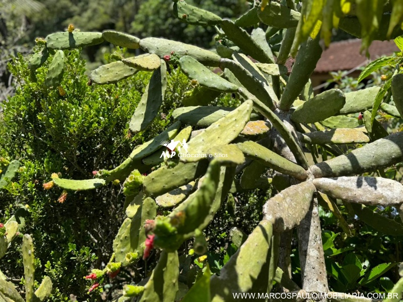 CHÁCARA PARA MORADIA EM BIRITIBA MIRIM