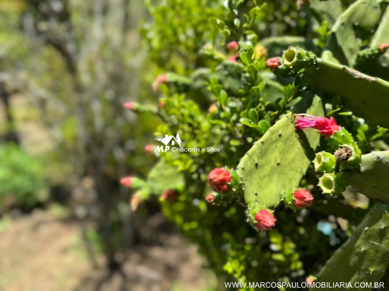 CHÁCARA PARA MORADIA EM BIRITIBA MIRIM