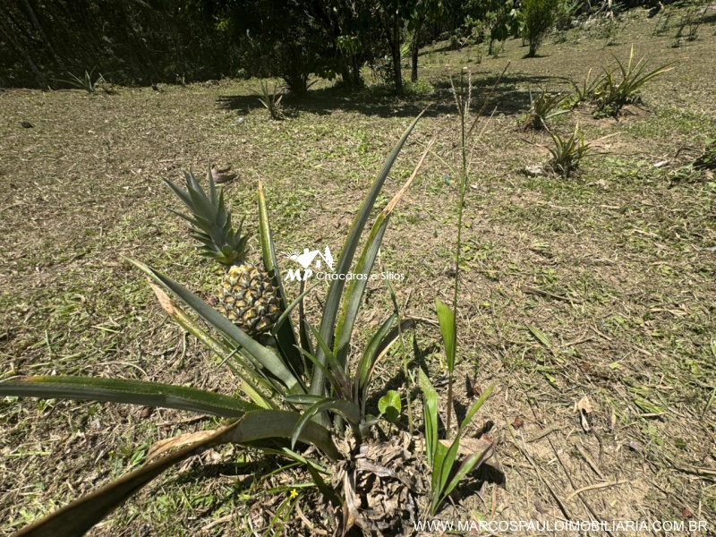 CHÁCARA PARA MORADIA EM BIRITIBA MIRIM