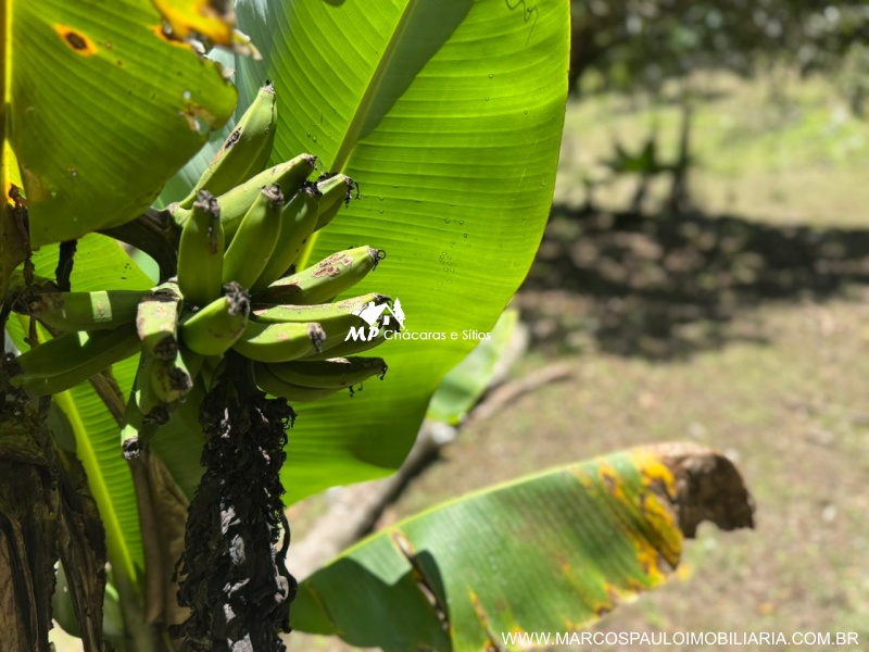 CHÁCARA PARA MORADIA EM BIRITIBA MIRIM