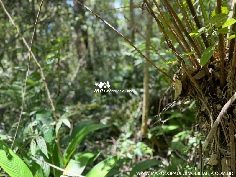 CHÁCARA PARA MORADIA EM BIRITIBA MIRIM