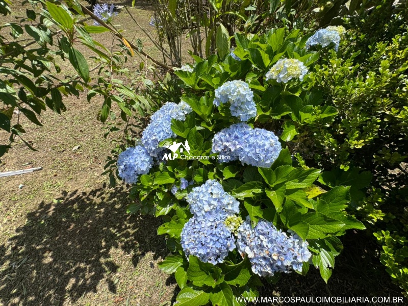 CHÁCARA PARA MORADIA EM BIRITIBA MIRIM