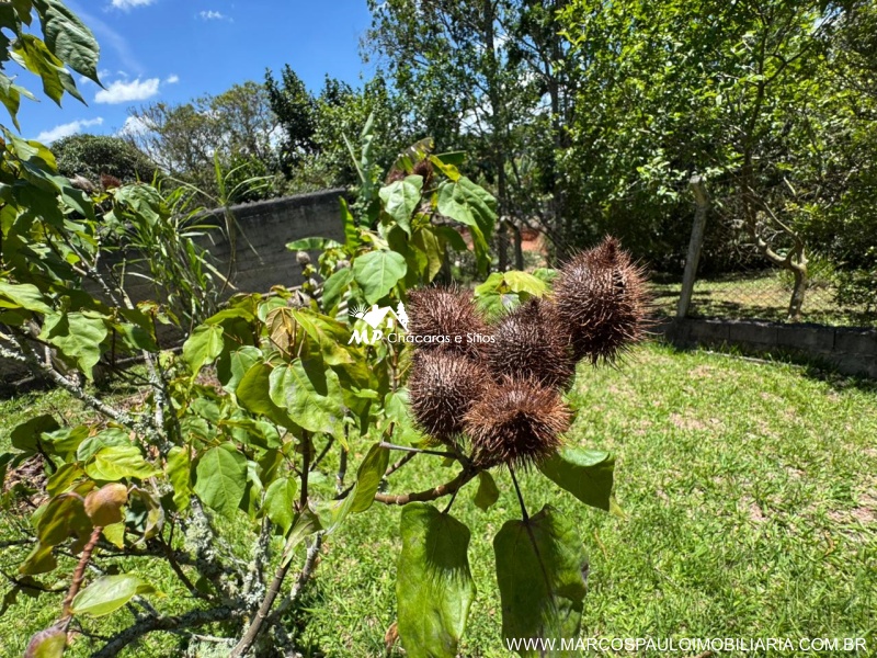 CHÁCARA EM BIRITIBA MIRIM PARA MORADIA OU LAZER PRÓXIMO AO CENTRO DA CIDADE