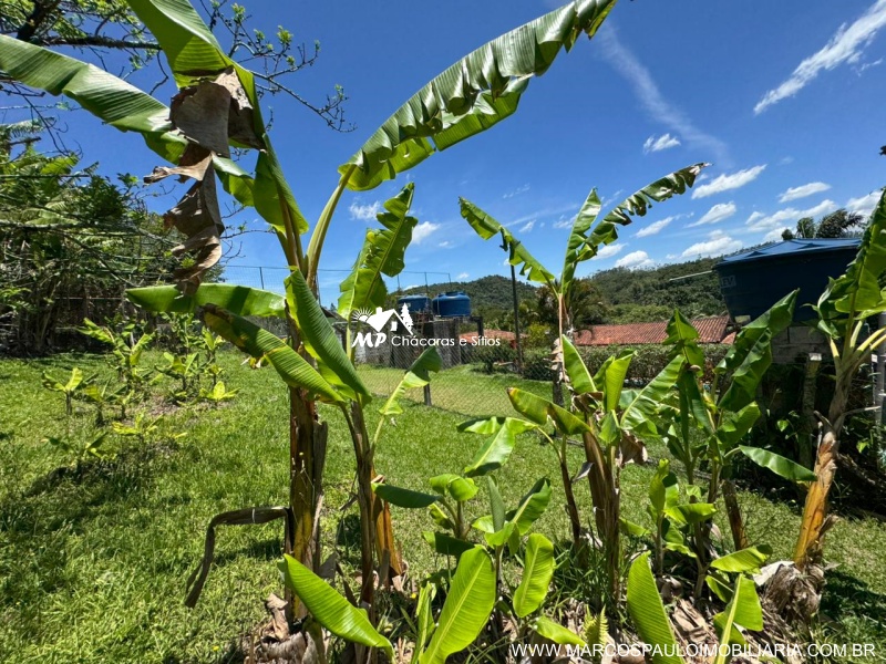 CHÁCARA EM BIRITIBA MIRIM PARA MORADIA OU LAZER PRÓXIMO AO CENTRO DA CIDADE