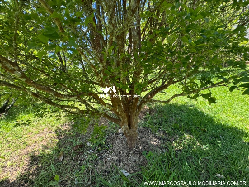 CHÁCARA EM BIRITIBA MIRIM PARA MORADIA OU LAZER PRÓXIMO AO CENTRO DA CIDADE