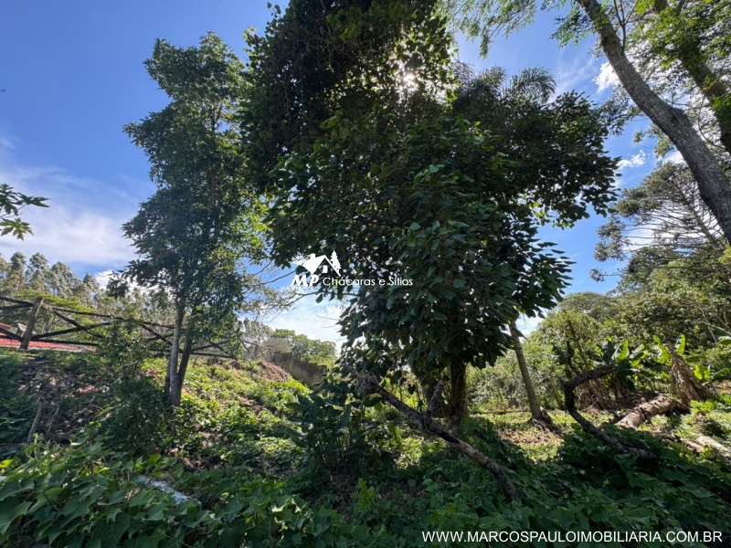 CHÁCARA DOS SONHOS EM SALESÓPOLIS