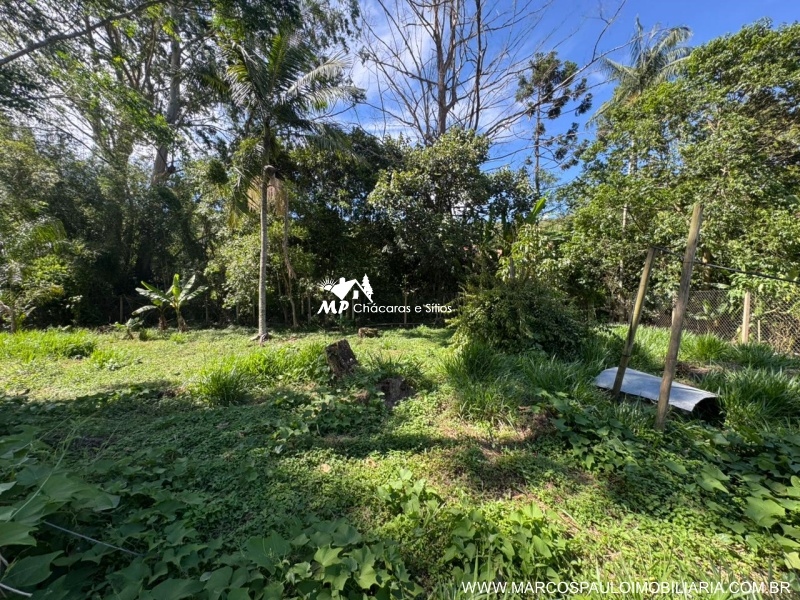 CHÁCARA DOS SONHOS EM SALESÓPOLIS