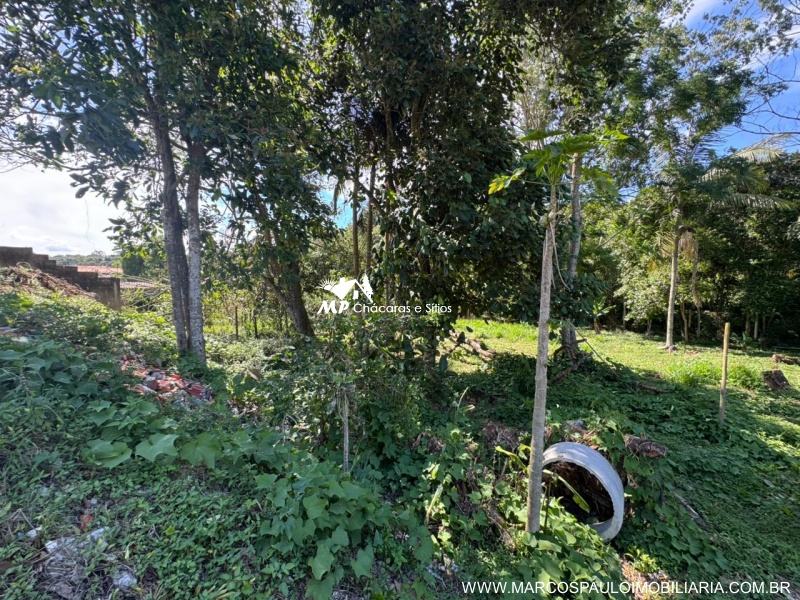 CHÁCARA DOS SONHOS EM SALESÓPOLIS