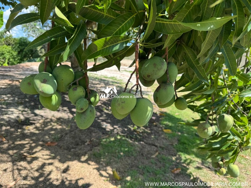 CHÁCARA MARAVILHOSA EM GUARAREMA