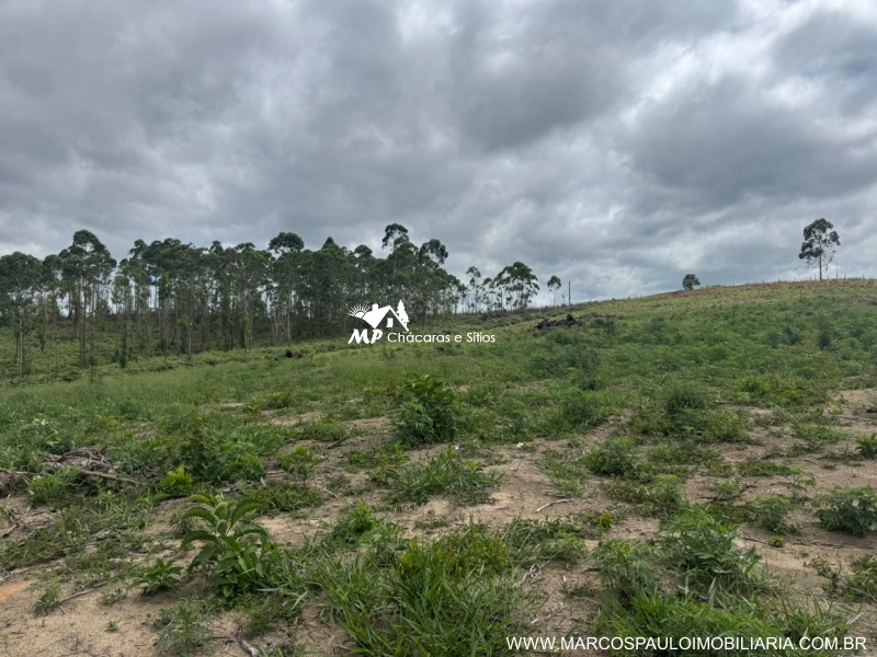 TERRRENO EM SALESÓPOLIS CO ACESSO A REPRESA