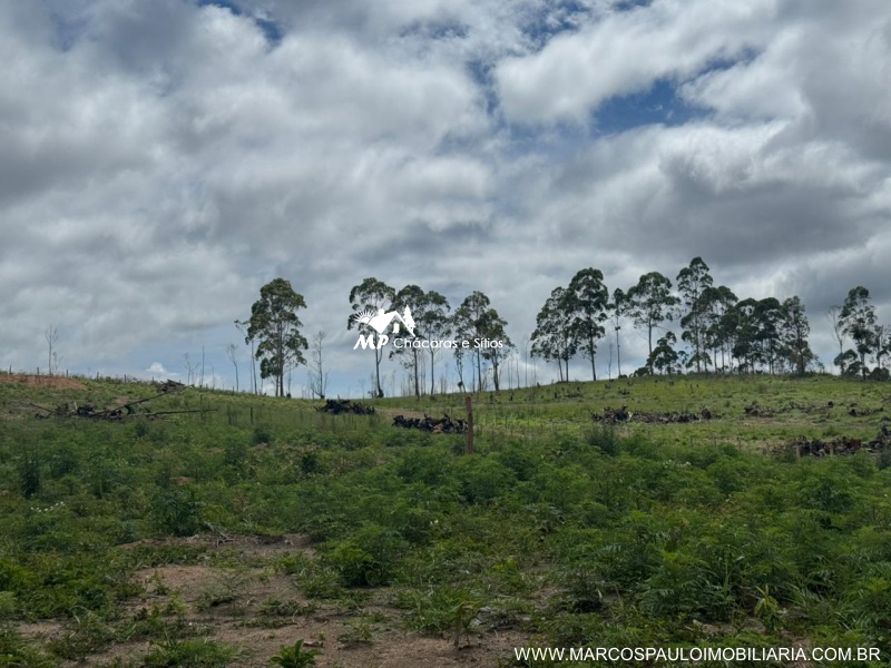 TERRRENO EM SALESÓPOLIS CO ACESSO A REPRESA