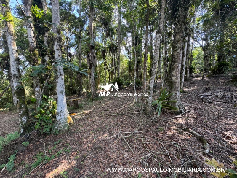 CHÁCARA NA REGIÃO DE MOGI DAS CRUZES