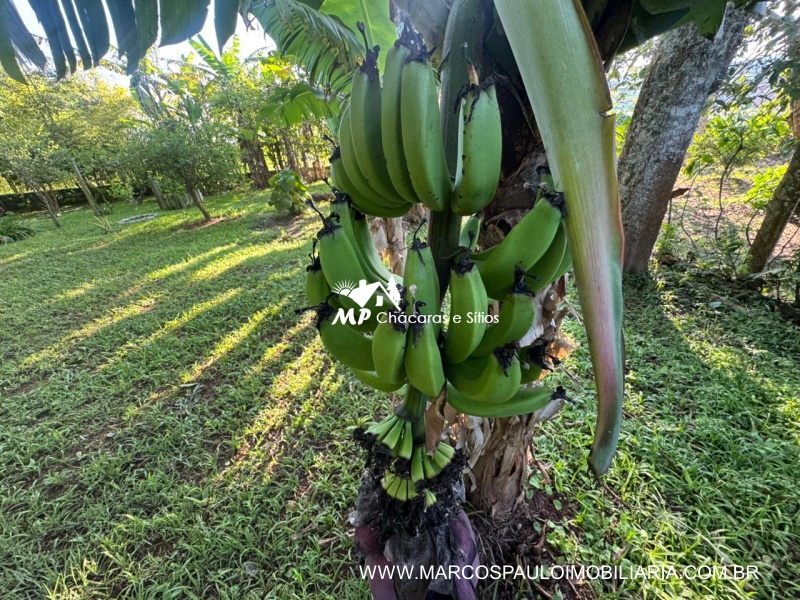 CHÁCARA MARAVILHOSA EM BIRITIBA MIRIM