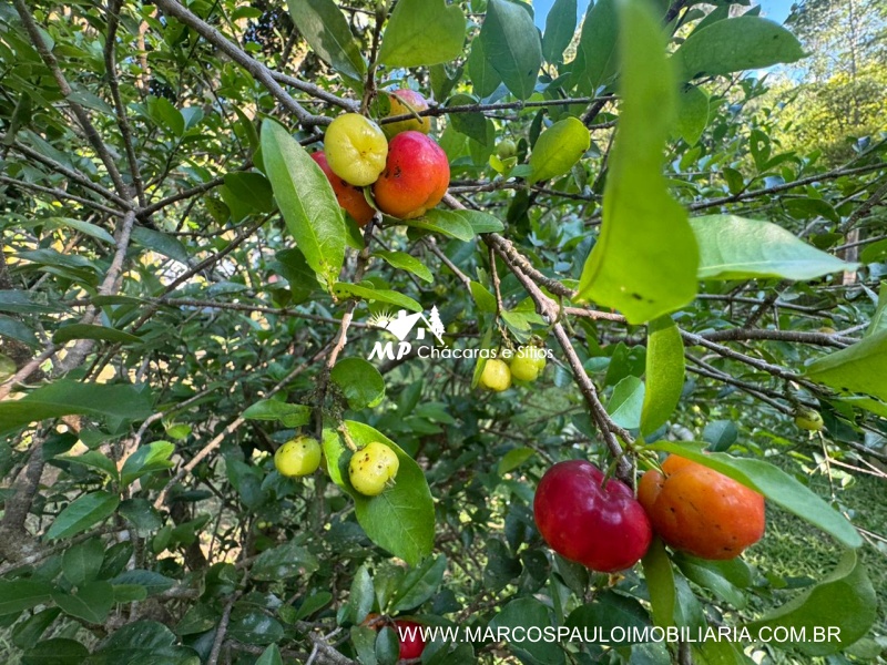 CHÁCARA MARAVILHOSA EM BIRITIBA MIRIM