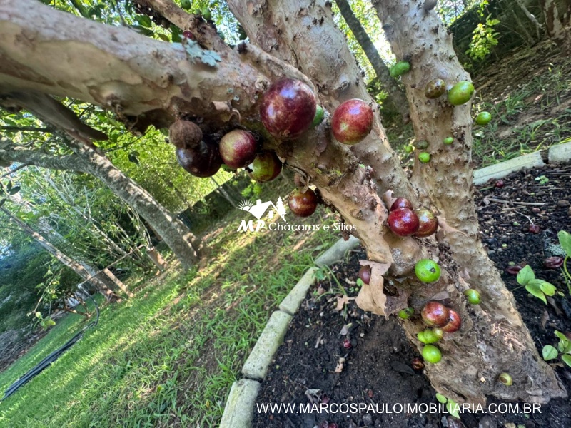 CHÁCARA MARAVILHOSA EM BIRITIBA MIRIM
