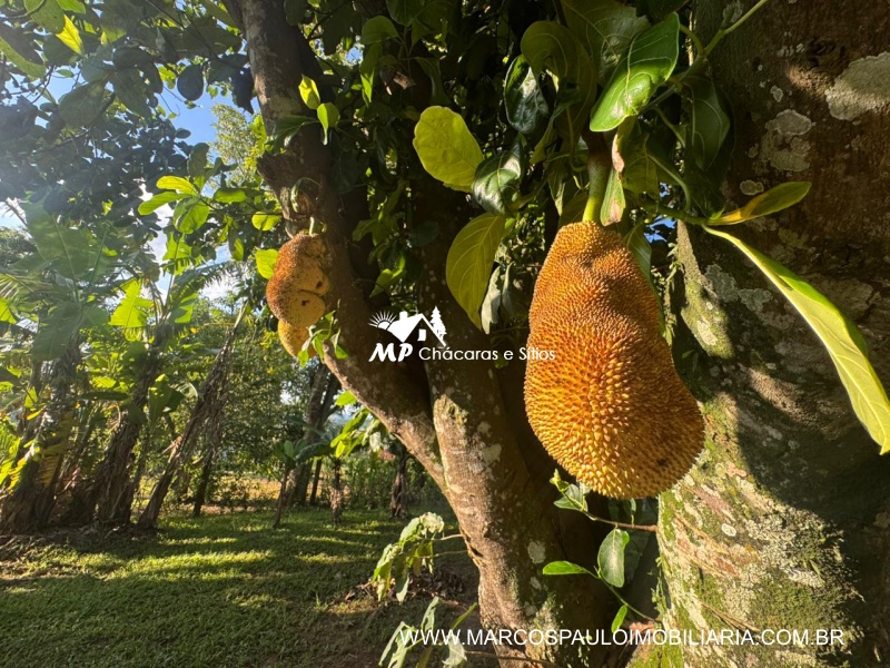 CHÁCARA MARAVILHOSA EM BIRITIBA MIRIM
