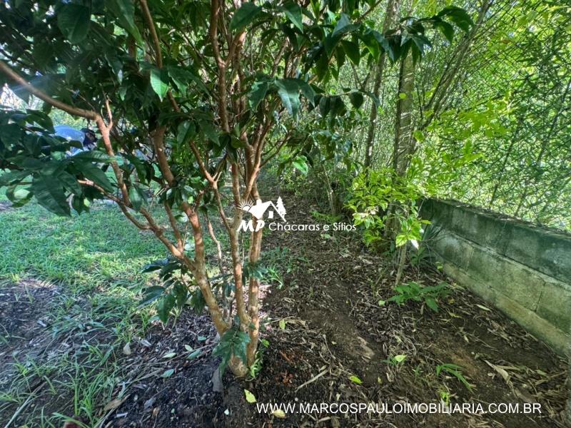 CHÁCARA MARAVILHOSA EM BIRITIBA MIRIM