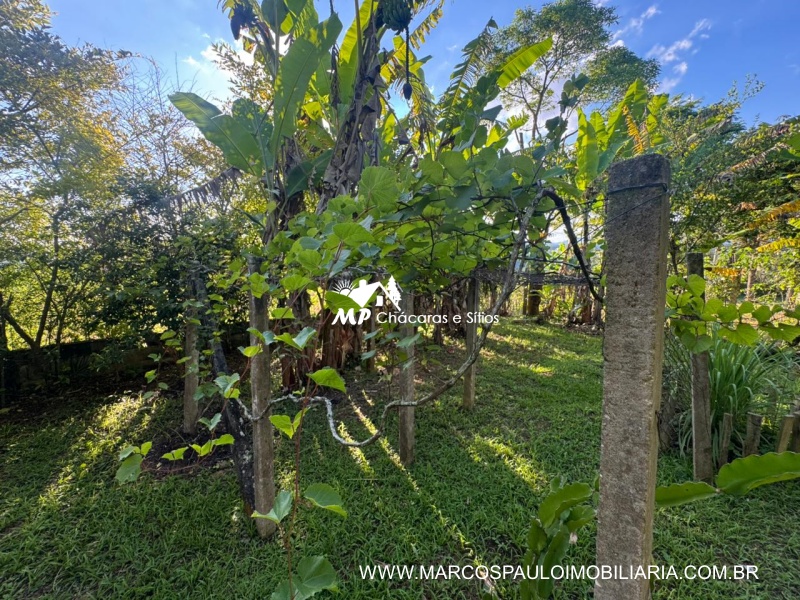 CHÁCARA MARAVILHOSA EM BIRITIBA MIRIM