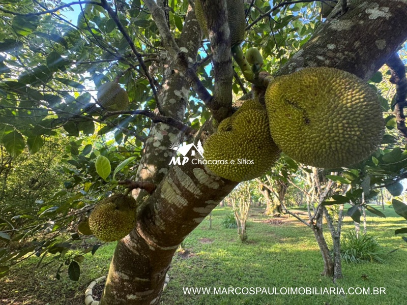 CHÁCARA MARAVILHOSA EM BIRITIBA MIRIM