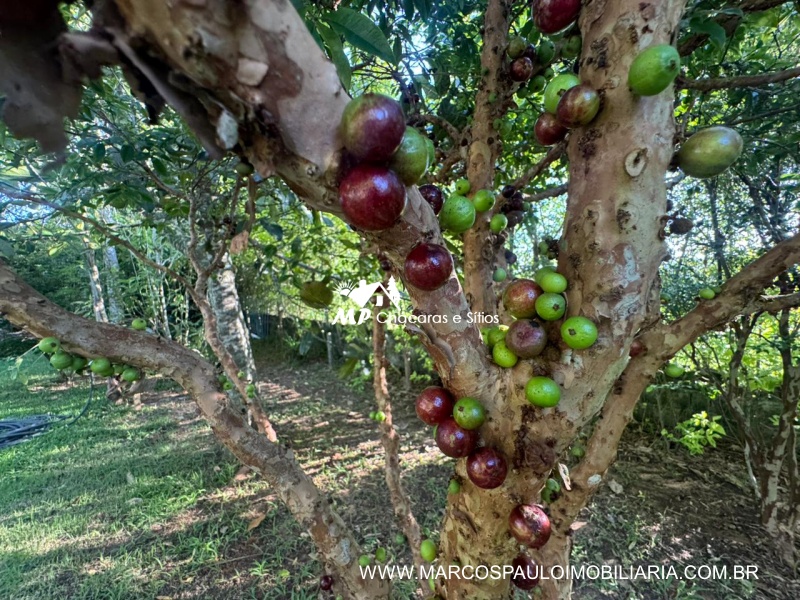 CHÁCARA MARAVILHOSA EM BIRITIBA MIRIM