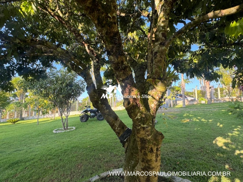 CHÁCARA MARAVILHOSA EM BIRITIBA MIRIM