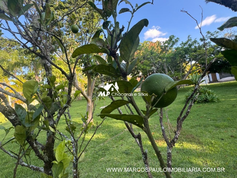 CHÁCARA MARAVILHOSA EM BIRITIBA MIRIM