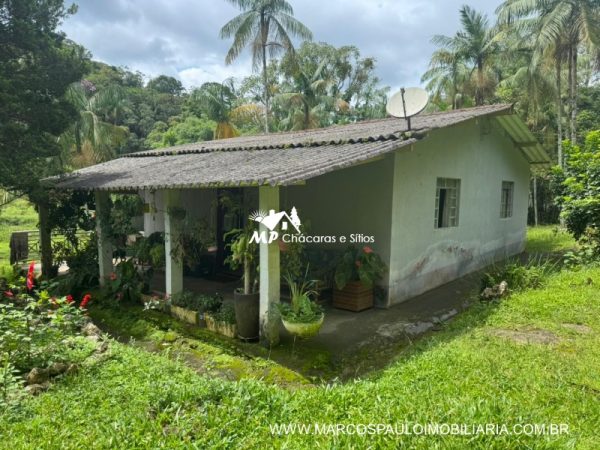 SÍTIO COM LAGO ENORME EM MEIO A NATUREZA