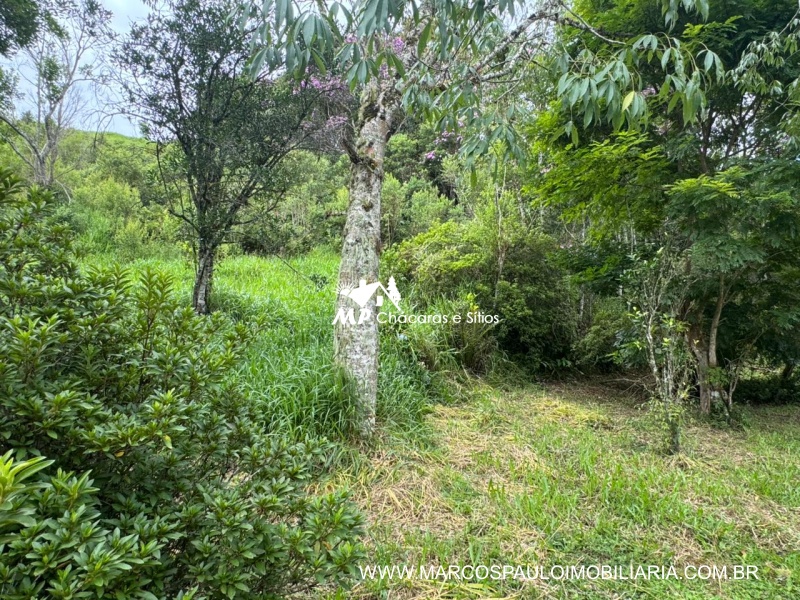 CHÁCARA NA REGIÃO DE MOGI DAS CRUZES