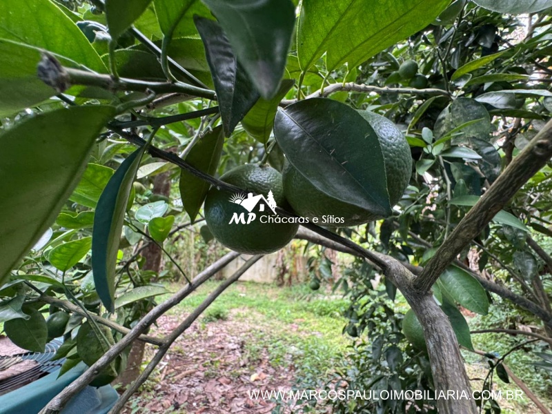 CHÁCARA DE ALTO PADRÃO EM BIRITIBA MIRIM