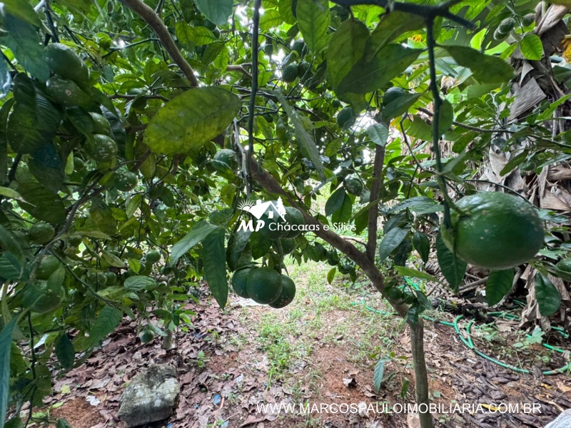 CHÁCARA DE ALTO PADRÃO EM BIRITIBA MIRIM