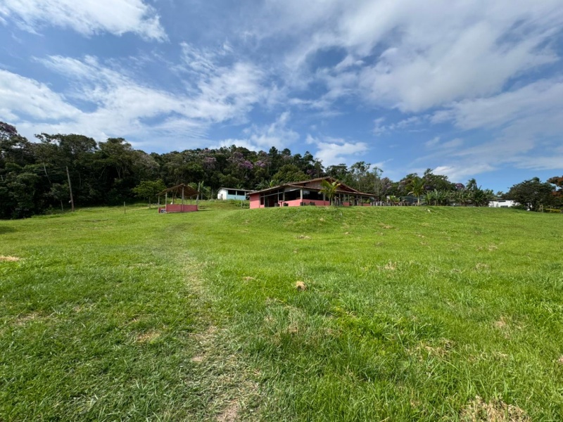 PESQUEIRO EM BIRITIBA MIRIM