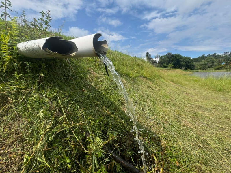 PESQUEIRO EM BIRITIBA MIRIM